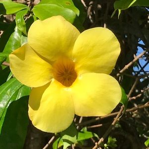 Meet your Posher, Marieanne